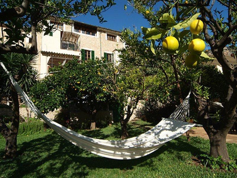 Petit - Hotel 4*